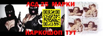 гидра Новозыбков