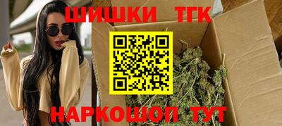 гидра Новозыбков