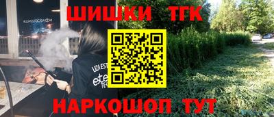 гидра Новозыбков