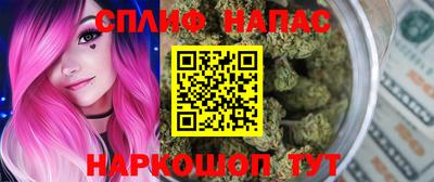 гидра Новозыбков