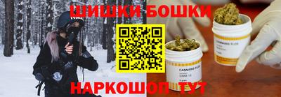 гидра Новозыбков