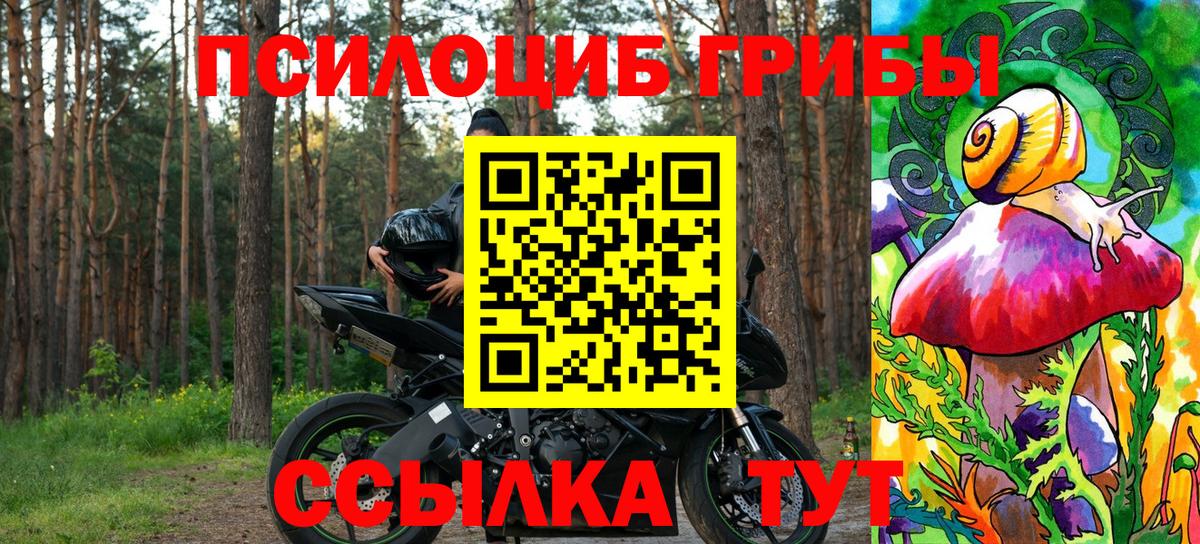 Уварово  Галлюциногенные грибы прущие грибы  Вход с VPN 